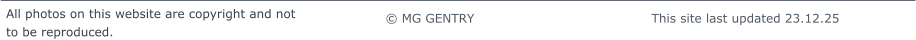 © MG GENTRY                                          This site last updated 23.12.25     All photos on this website are copyright and not  to be reproduced.
